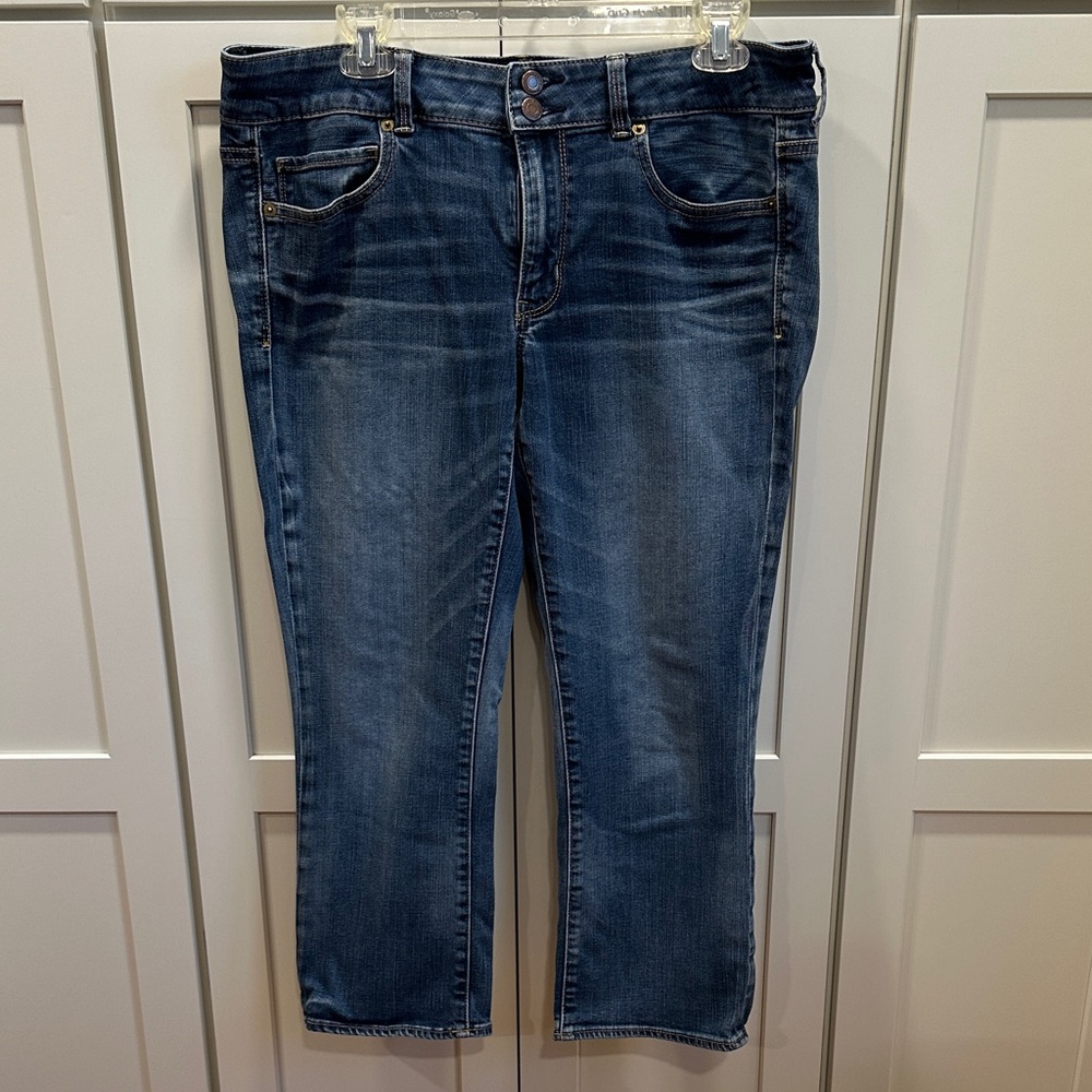 American Eagle Outfitters Women's Blue Artist Crop Jeans